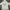 Harley Davidson Indie Fleece Wanita white photo 2