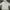 Harley Davidson Indie Fleece Wanita white photo 3