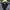 Tommy Hilfiger Gorpcore Windbreaker Pria navy photo 2