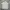 Adidas Polo shirt Pria white photo 1