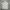 Adidas Polo Shirt Pria White