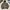 Carhartt Vintage Streetwear Denim jacket Pria tan photo 2