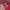 Vintage Hat Pria white red photo 2
