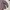Hysteric Glamour Streetwear Avant Garde Windbreaker Pria multicolor photo 4