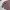 Hysteric Glamour Streetwear Avant Garde Windbreaker Pria multicolor photo 5