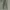 Uniqlo Streetwear Y2K Casual pants Pria green photo 1
