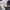 Dickies Casual Casual pants Pria navy photo 4