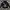 Champion Streetwear Hoody Pria black photo 1