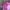 Y2K Gorpcore Hat Wanita pink photo 4