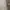 Polo Ralph Lauren Casual Pria tan cream photo 6
