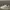Nike Skater Casual Sneakers Pria gray photo 1