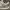 Nike Skater Casual Sneakers Pria gray photo 6