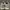 Nike Skater Casual Sneakers Pria gray photo 7