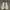 Nike Skater Casual Sneakers Pria gray photo 4