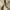 Casual Casual pants Pria khaki photo 5