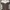 Adidas Sportswear Track jacket Pria white brown photo 2