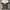 Adidas Sportswear Track jacket Pria white brown photo 1