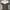 Adidas Sportswear Track Jacket Pria White Brown