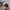New Era Sportswear Casual Hat Pria multicolor photo 3