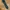 Vintage Luxury Pria black blue photo 1