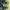 Casual Sandals & slide Wanita green photo 3