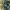 Casual Sandals & Slide Wanita Green