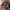 Von Dutch Skater Casual Hat Pria tan black photo 1