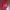 MLB Vintage Parka Pria white red photo 2