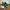 Adidas Minimalist Casual Sneakers Wanita green photo 5