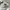 Ellesse Y2K Casual Track jacket Pria white photo 4