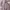 Casual Muslim Evening dress Wanita purple pink photo 4