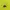 Acne Studios Luxury Minimalist Casual shirt Pria green photo 3