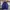 Uniqlo Sportswear Track Jacket Pria Purple