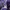 Uniqlo Sportswear Track jacket Pria purple photo 4