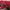 Puma Streetwear Sportswear Puffer jacket Pria red gray photo 6