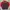 Puma Streetwear Sportswear Puffer Jacket Pria Red Gray