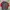 Puma Streetwear Sportswear Puffer jacket Pria red gray photo 2
