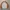 Cinema Club Vintage Casual Sweater Pria white orange photo 1