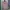 Supreme Avant Garde Cosplay Sweater Wanita Pink