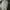 Adidas Y2K Sportswear Windbreaker Pria white black photo 4