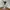 Adidas Y2K Sportswear Windbreaker Pria white black photo 6