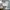 Adidas Y2K Sportswear Windbreaker Pria white black photo 5