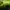 Yonex Streetwear Sportswear Windbreaker Pria multicolor green photo 7