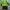 Yonex Streetwear Sportswear Windbreaker Pria multicolor green photo 2