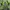 Yonex Streetwear Sportswear Windbreaker Pria multicolor green photo 3