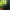 Yonex Streetwear Sportswear Windbreaker Pria multicolor green photo 6