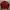 Yonex Streetwear Sportswear Windbreaker Pria red black photo 1
