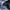 Vintage Casual Jumper Pria navy photo 5