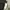 Japanese brand Gorpcore Sportswear Windbreaker Pria white black photo 3