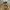 Japanese brand Vintage Avant Garde Track jacket Pria khaki photo 5